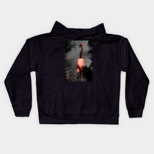 The Dip Kids Hoodie